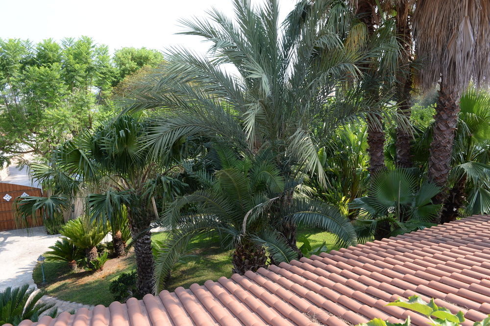 Il Giardino Delle Jacaranda Bed & Breakfast Talsano Exterior photo